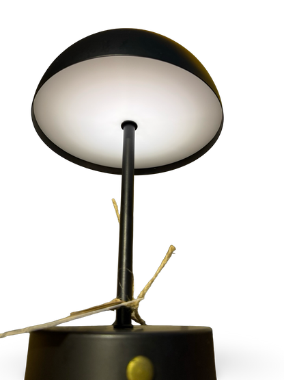 MAISONÉ | Lune Moderne